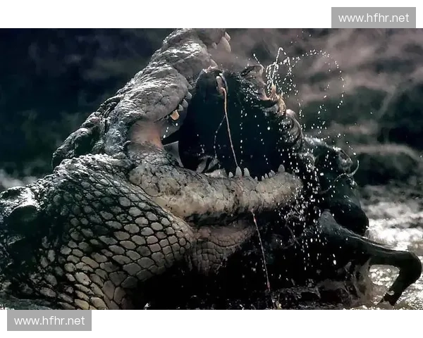 鳄鱼全场无敌操作引爆全场 细节教学带你深入理解峡谷霸主玩法技巧